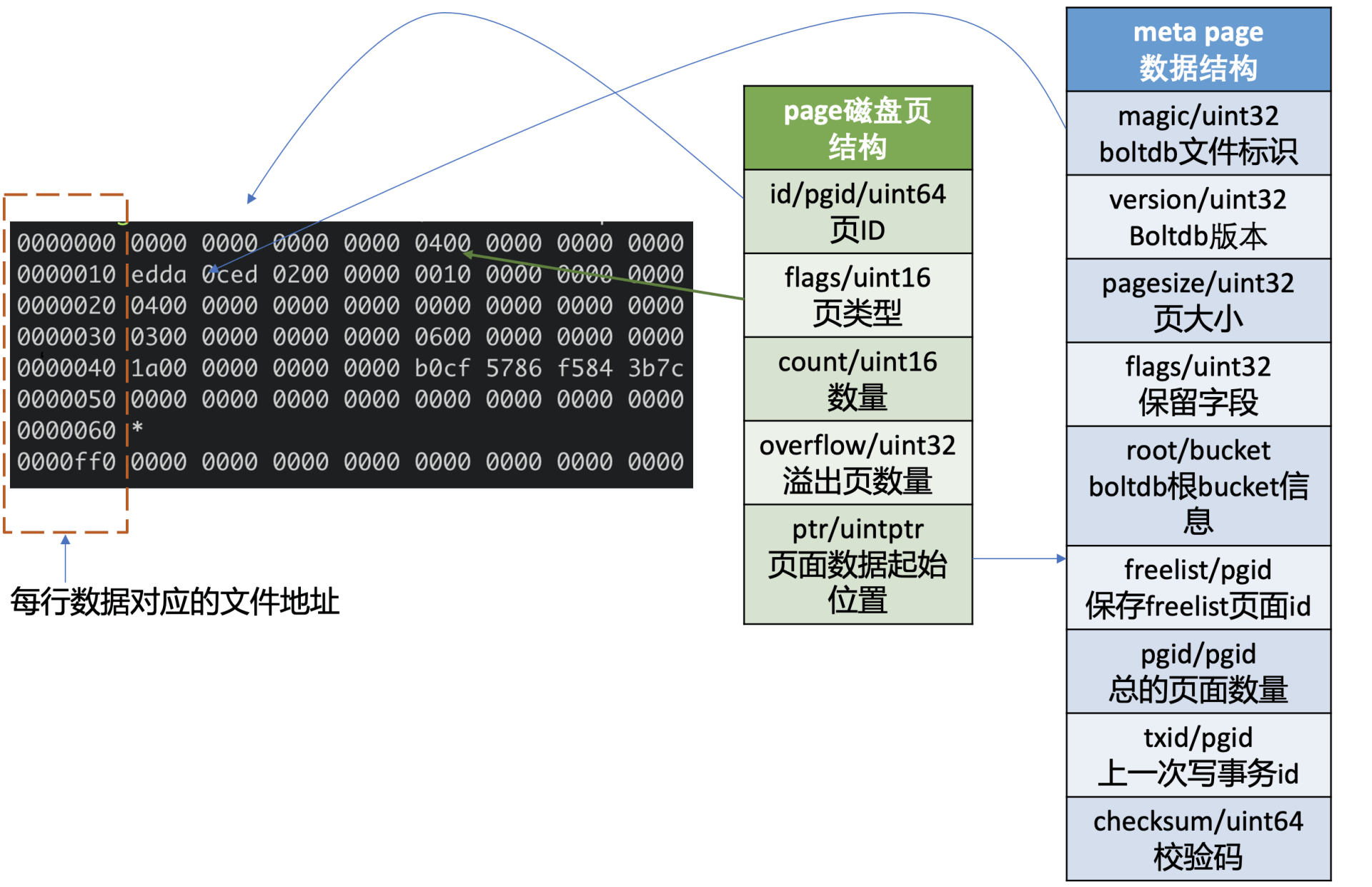 etcd50