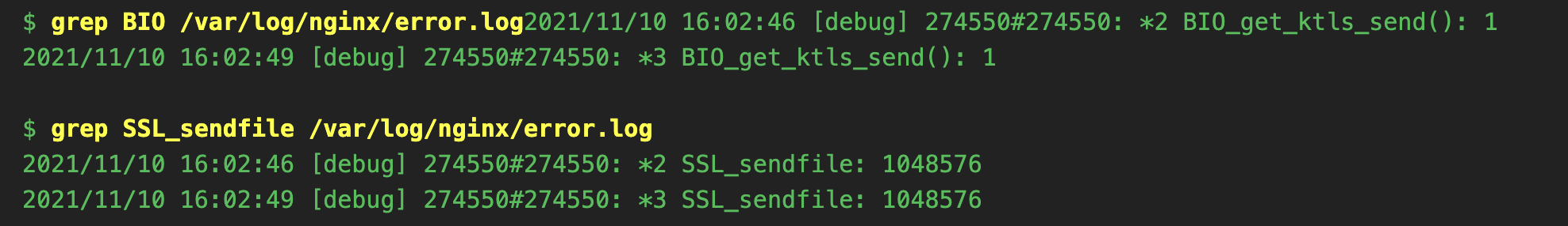 kTLS-NGINX
